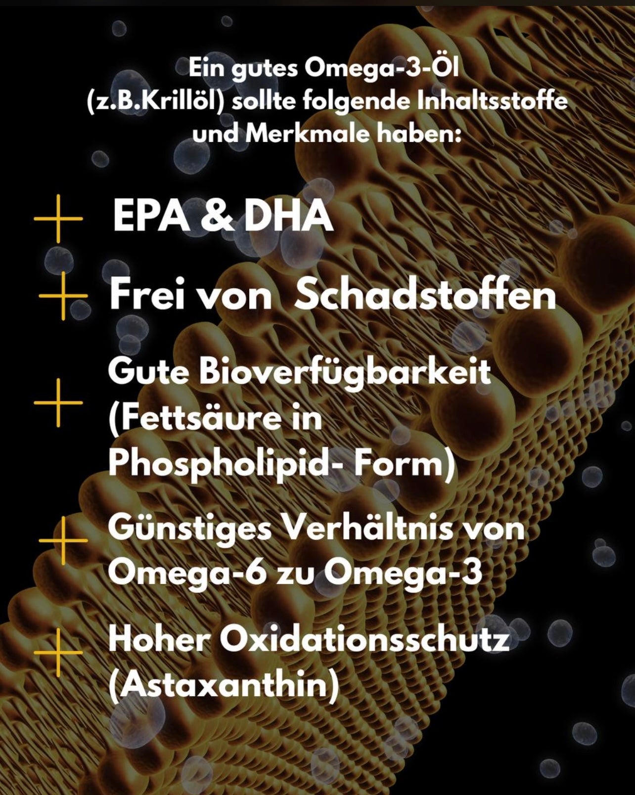 ROOT Brands – Krill Oil (KO3) by Only Naturelly